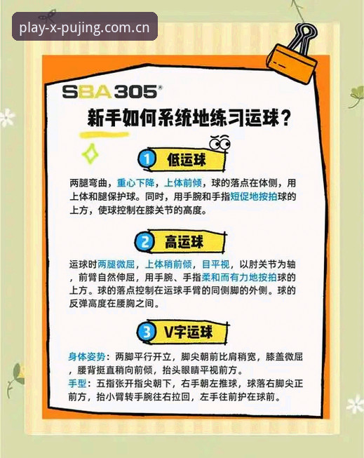 新浦京官网体育投注完整指南：从入门到精通的实用技巧